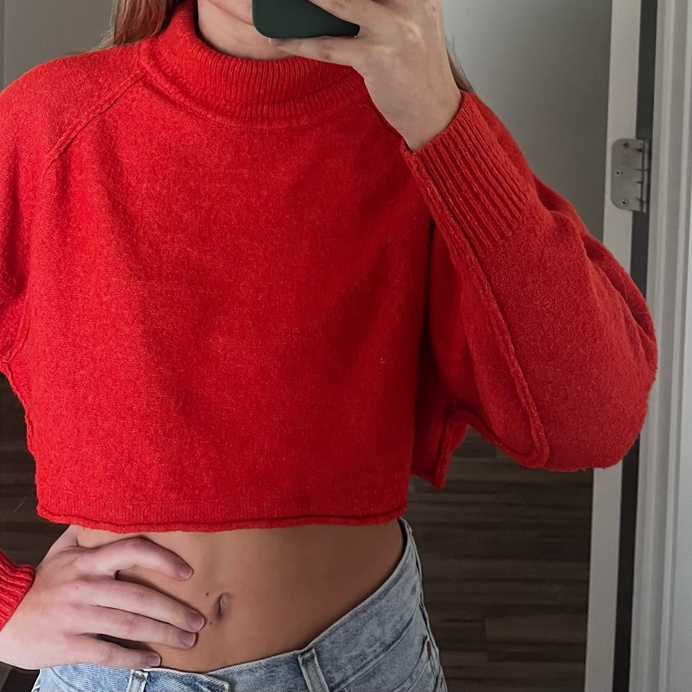 Long sleeve urban outfitters cropped sweater